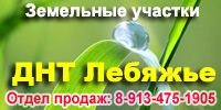 ДНТ Лебяжье